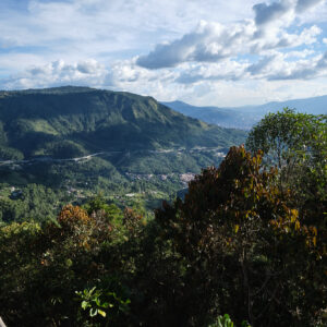 DSCF5844 (1)